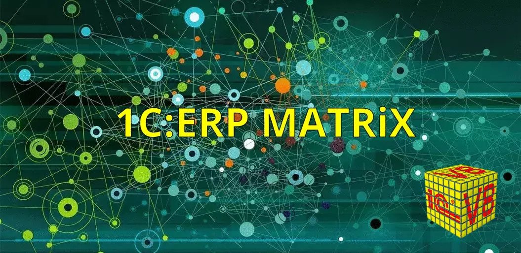 1C ERP Matrix.jpg