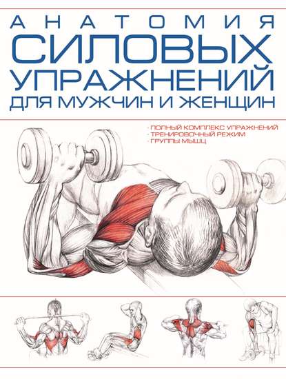 51613579-raznoe-anatomiya-silovyh-uprazhneniy-dlya-muzhchin-i-zhenschin-51613579.jpg