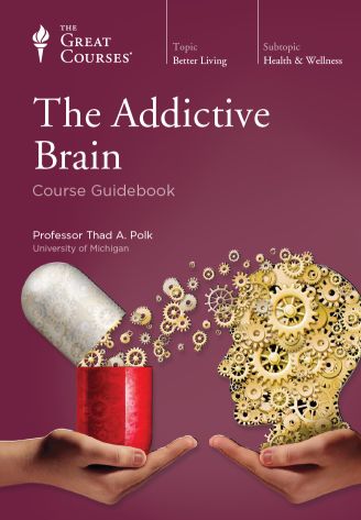 Addictive brain.jpg