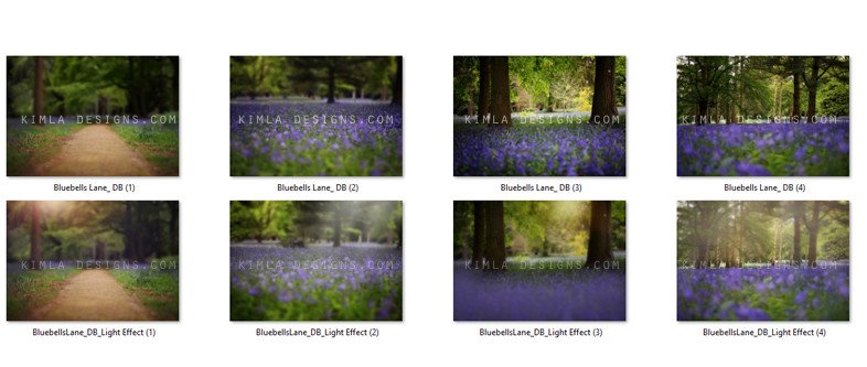 Bluebells-Digital-Backgrounds-for-Photographers_preview_1024x1024.jpg