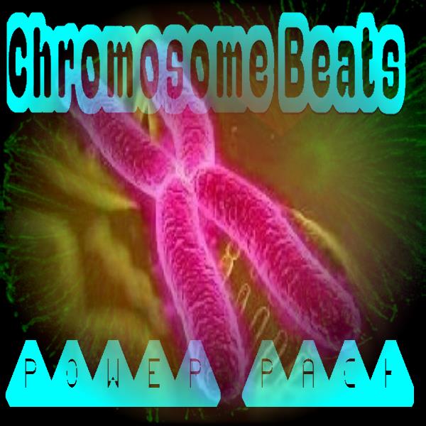 Chromosome_Beats_Vol1_Cover.jpg