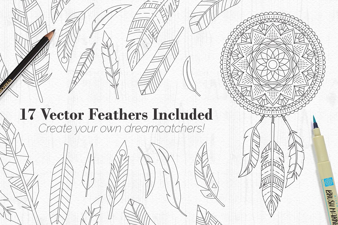feather-showoff-.jpg