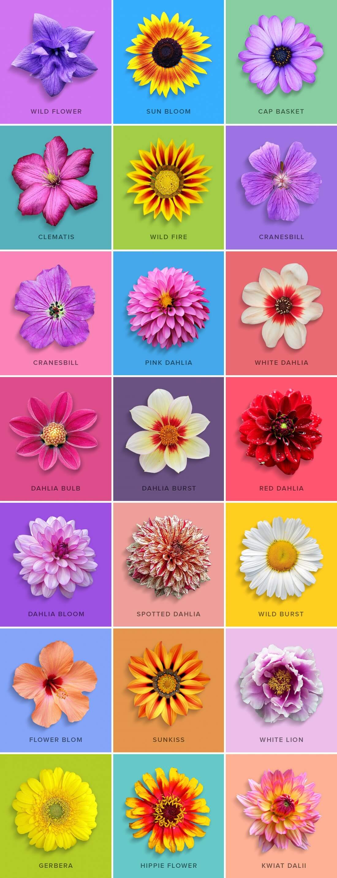 flower-design-collection-1-.jpg