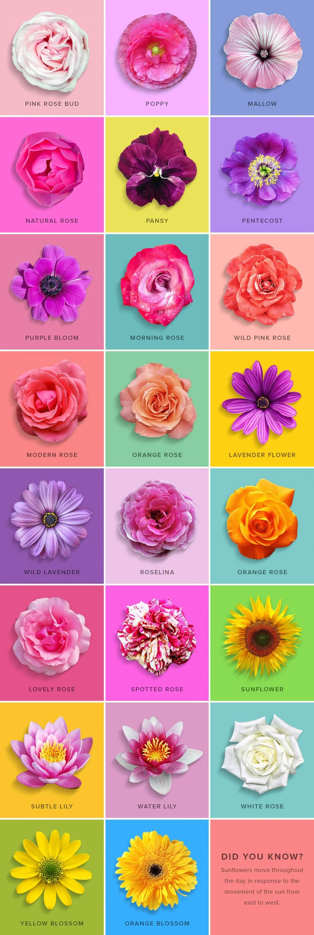 flower-design-collection-2-.jpg