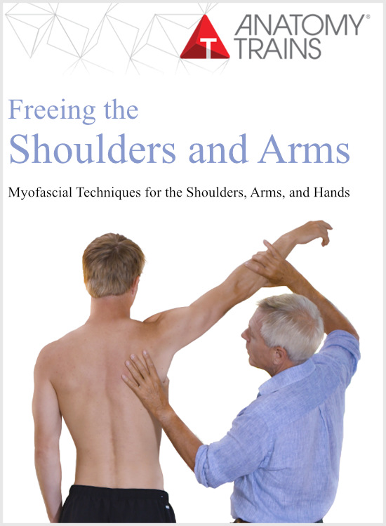 free-shoulders-arms.jpg