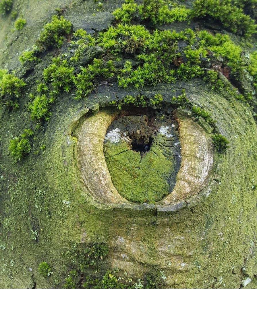 Глаз природы..jpg