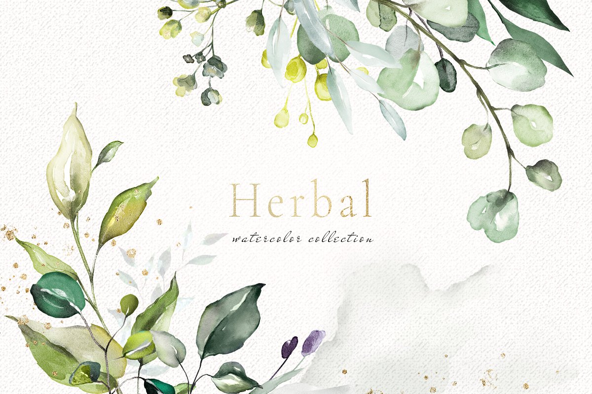 Herbal1.jpg