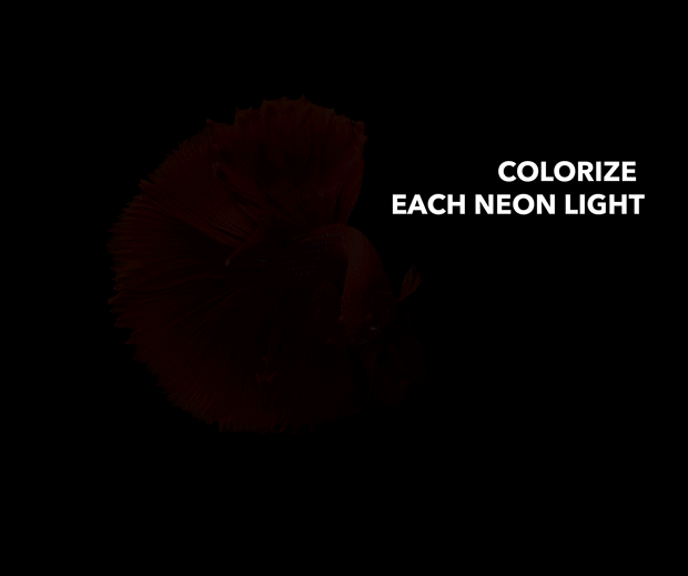 neon9.gif