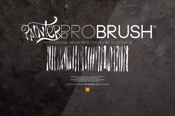 painterprobrush-cover-f.jpg