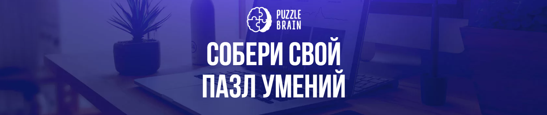 puzzlebrain.png