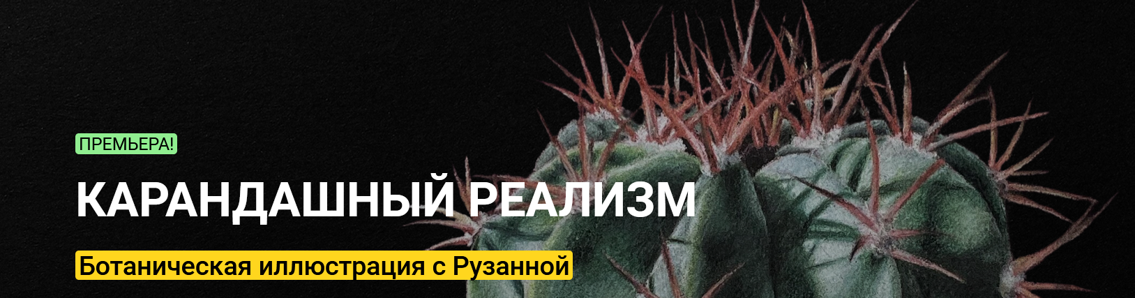 Screenshot_2021-04-06 Онлайн-курс «Карандашный реализм» ботаническая иллюстрация от Рузанны.png