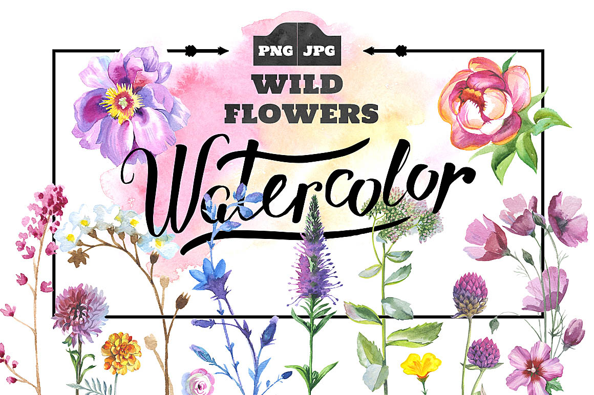 Wild-Flowers-watercolor-PNG-set-1.jpg