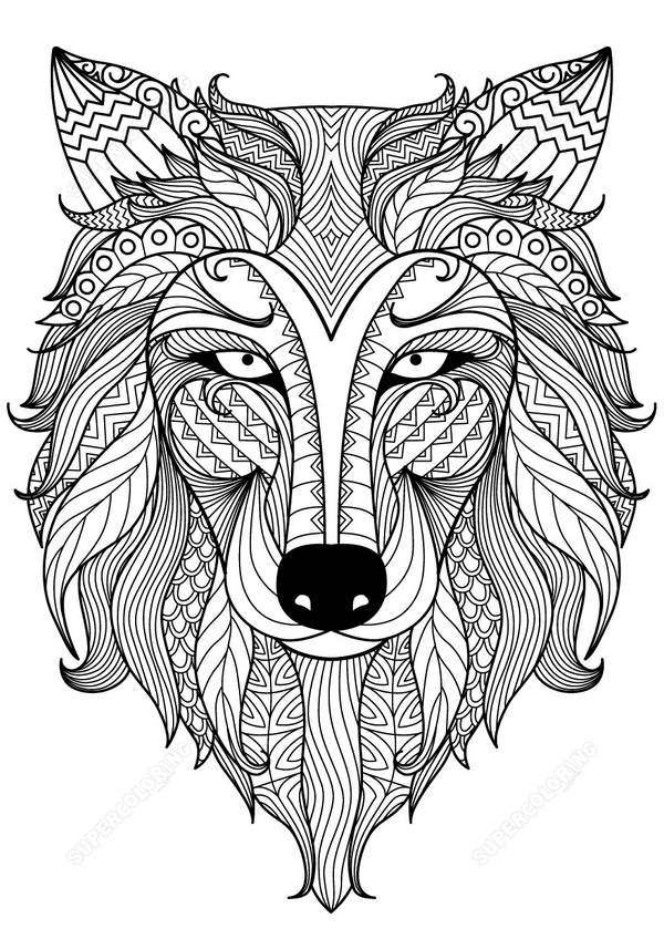 wolf-zentangle-coloring-page copy.png