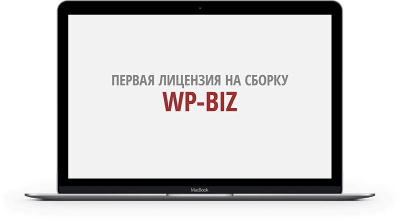 wp-biz.png