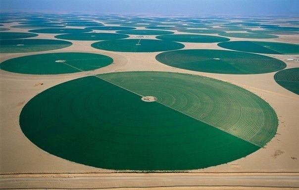 Земледелие в пустыне. Саудовская Аравия..jpg